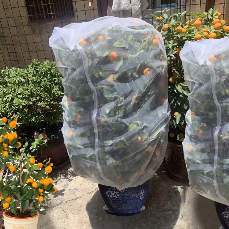 Self-watering Planter Dia8.7*H8.3in White 5pack