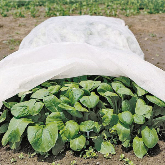 0.9oz Row Cover 10ft Width, white