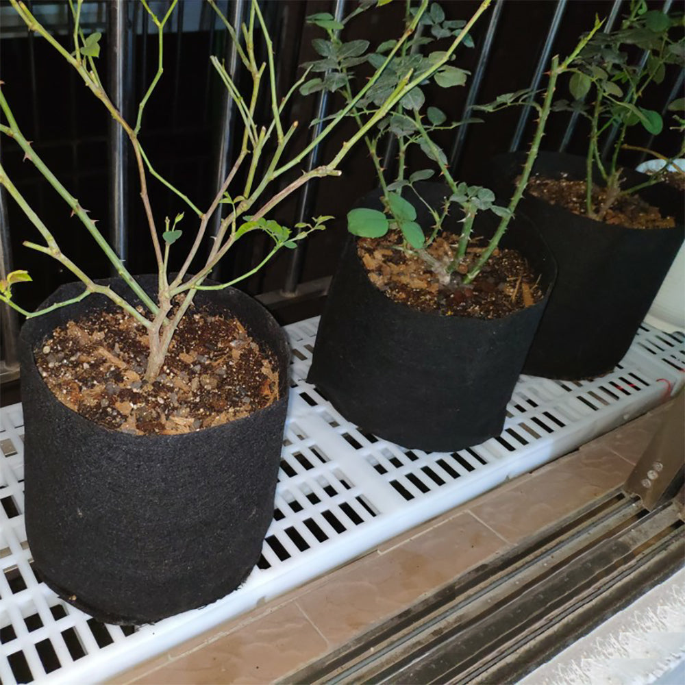 3-20 Gal Grow Bag Non Woven Breathable Fabric Planter Pot With Handle