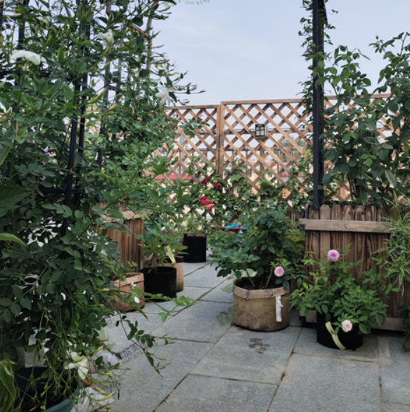 3-20 Gal Grow Bag Non Woven Breathable Fabric Planter Pot With Handle