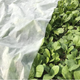 0.9 oz. 14 ft. x 15 ft. Floating Row Cover White