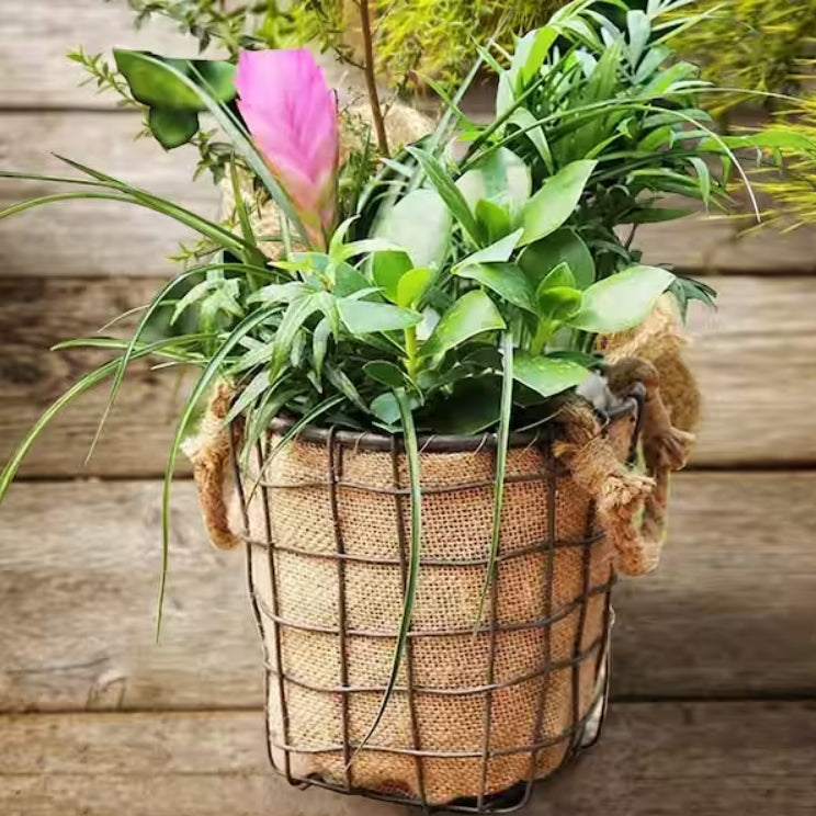 7.7 oz. 5.3 ft Width Natural Burlap Fabric for Weed Barrier, Raised Bed, Seed Cover, Tree Wrap Burlap