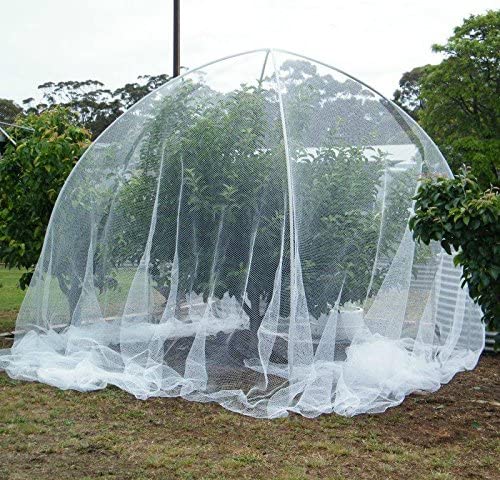 Hail Netting ,Bird Netting Protect Fruits and Plants from Hail Damage White 10'x20' 55g