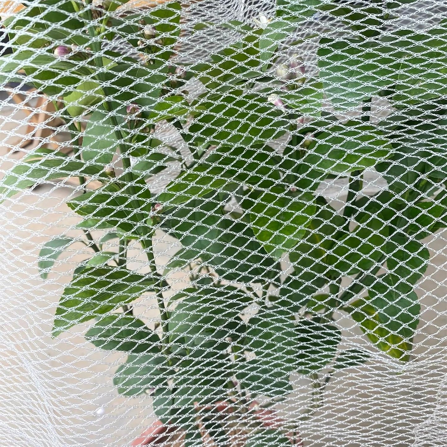 Hail Netting, Protect Orchard, Bird Protection 16 ftx20ft White 50g