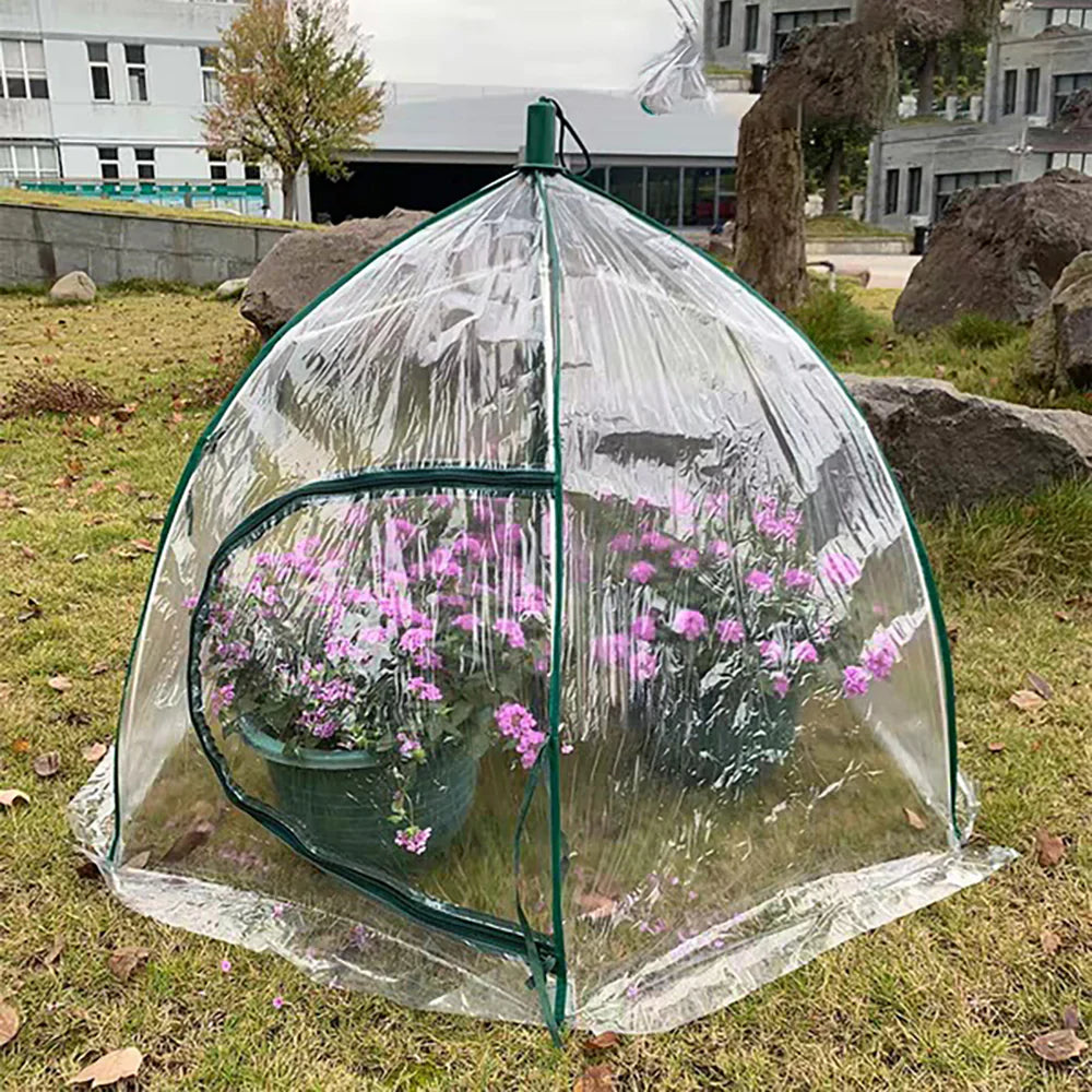 2.4Mil Clear Greenhouse Film 6/6.5/12ftW