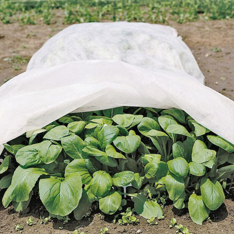 0.9oz Row Cover 10ft Width, white