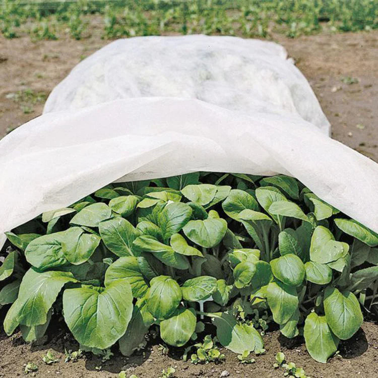 0.55oz Row Cover 100ft  Width, white