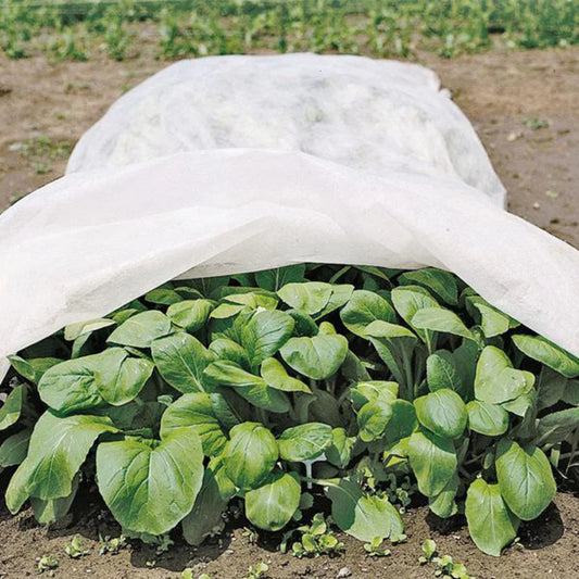 0.55oz Row Cover 100ft  Width, white