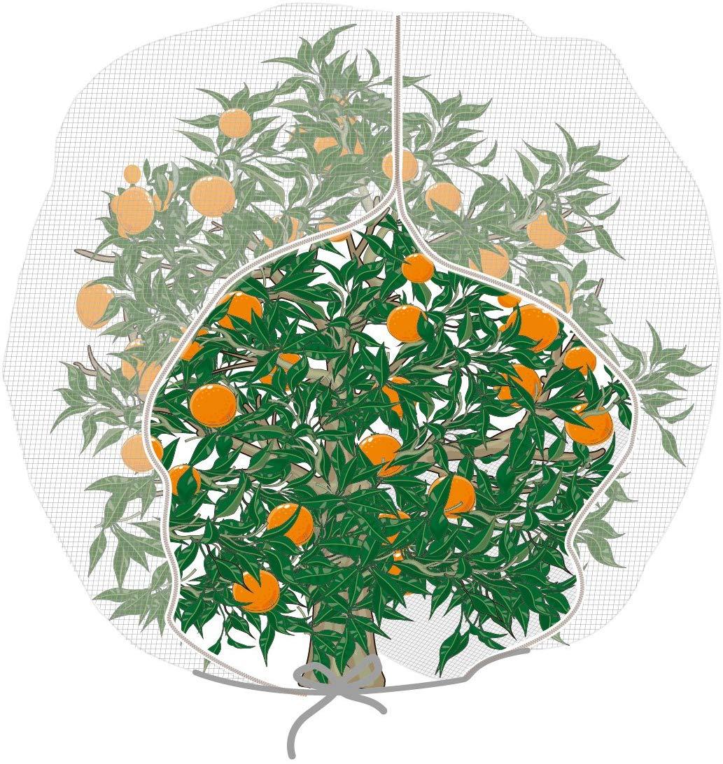 Specialize in netting field over 10 years, Agfabric has a professional team to provide you the best designed and high quality products at competitive prices. Excellent service and fast delivery guaranteed. Customization accepted.