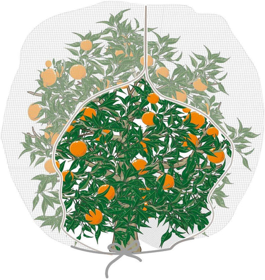 Specialize in netting field over 10 years, Agfabric has a professional team to provide you the best designed and high quality products at competitive prices. Excellent service and fast delivery guaranteed. Customization accepted.